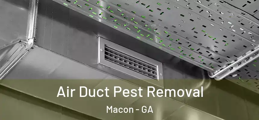 Air Duct Pest Removal Macon - GA