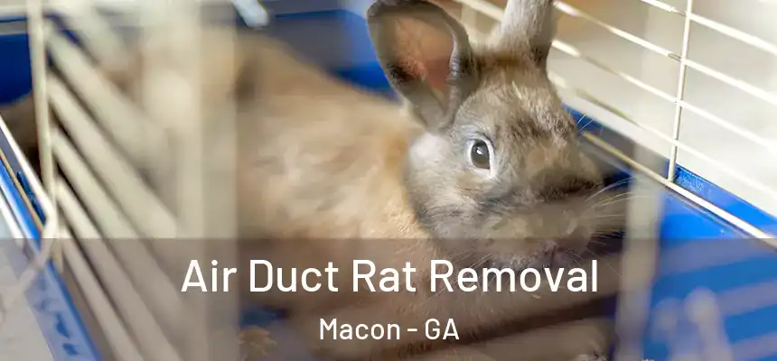 Air Duct Rat Removal Macon - GA