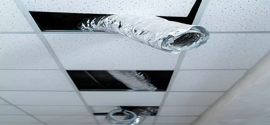 Our Air Duct Pet Hair Removal Services in Macon, GA