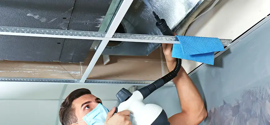 Our Air Duct Rodent Removal Services in Macon, GA