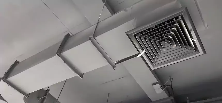 Restorative Allergy Relief Vent Cleaning – Coil, Blower & Housing Detail in Macon