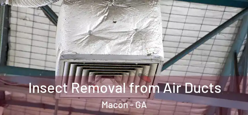 Insect Removal from Air Ducts Macon - GA