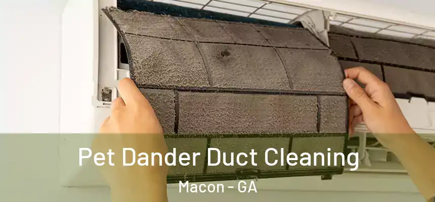 Pet Dander Duct Cleaning Macon - GA
