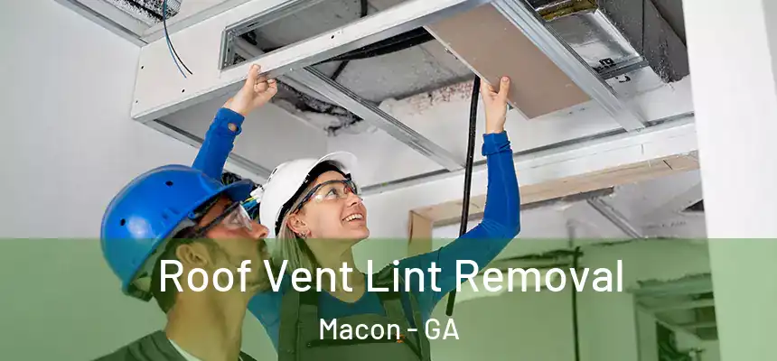  Roof Vent Lint Removal Macon - GA