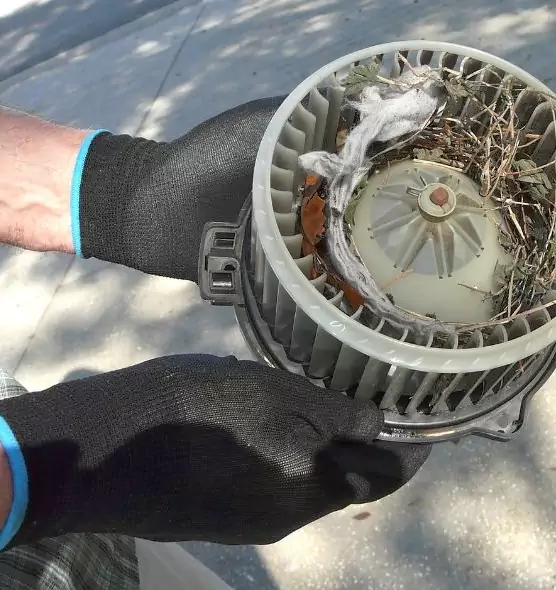 About Air Duct Mice Removal in Macon, GA