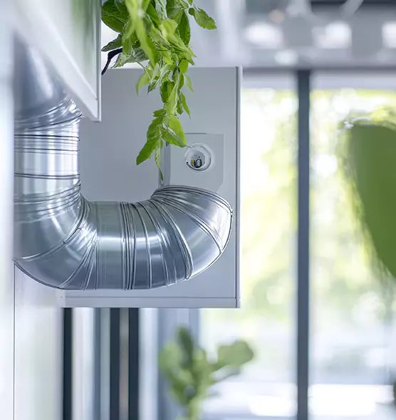 Professional Eco-Friendly Duct Cleaning Services in Macon, GA