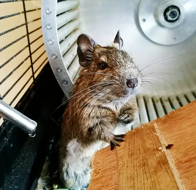 Why Homeowners & Businesses Trust Us Macon, GA