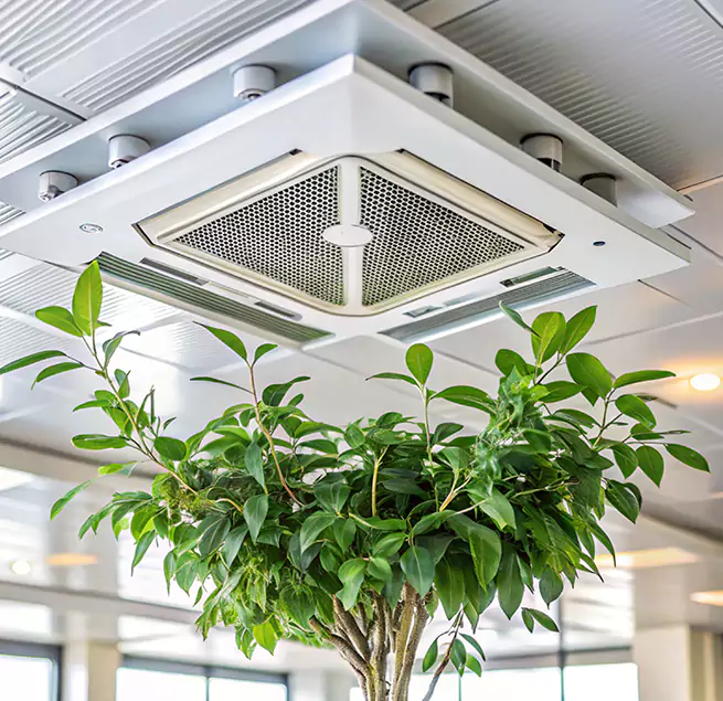 Why Homeowners & Businesses Trust Us in Macon, GA?