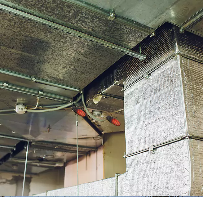 Why Homeowners & Businesses Trust Us Macon, GA?