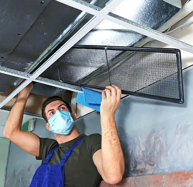 Why Homeowners & Businesses Trust Us in Macon, GA?